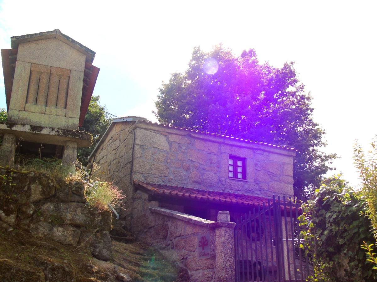 Casa Da Carvalheira Villa Parada  Exterior photo